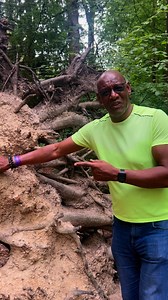 It might initially seem sad to see a mature tree blown over and it is but there are also many benefits. It provides shelter for birds and insects, as it decomposes it provides nutrients to improve the soil and can also be a platform for new plants to grow. Always look on the positive side👍🏽 Have a fabulous Sunday, especially if you’re out walking in Alice Holt but keep hydrated and cool today. Remember to walk your dogs early and provide your pets with plenty of water, especially your fish 💪�