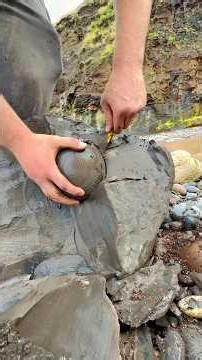 We couldn’t believe what we found! 🤩 A huge shale landslide had exposed countless fossil-rich rocks
