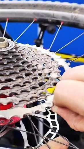 How to remove a bicycle cassette if the wheel hub is on a hollow axle