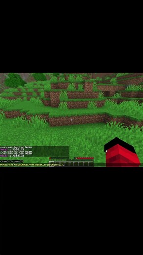 How to turn every item into a totem😮👍 #minecraft