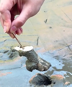 90K views · 190 reactions | DIY dog boots : Never let those priceless cute paws go dirty again! | 5-Minute Crafts Family | Facebook