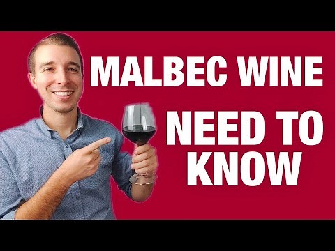 MALBEC RED WINE For Beginners
