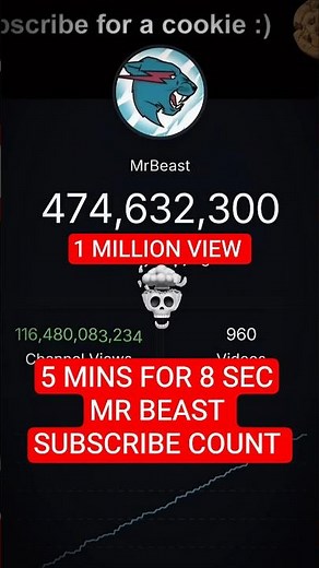 5 mins for 8 sec 🤯 Mr beast subscribe count .. who next ?