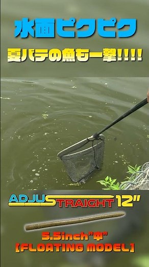 Adjustable 5.5 high buoyancy #short