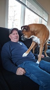 Dog kisses are the best! #boandtytheboxerboys #boandty #botyjax #boxset #dogkisses | Boandtytheboxerboys