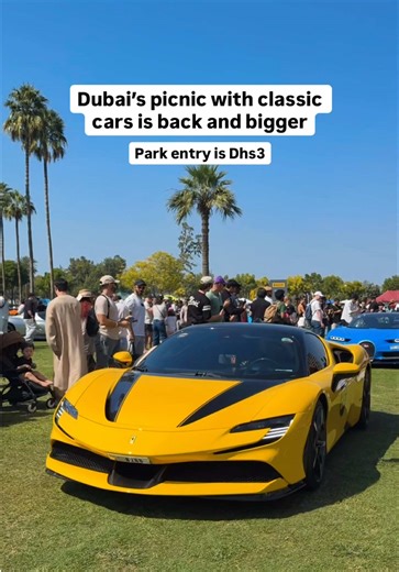 Dubai Classic Cars Festival: A Day of Cars and Picnics