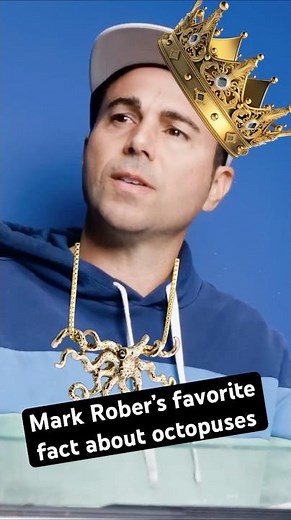 Mark Rober's Favorite Octopus Fact! #octopus #science