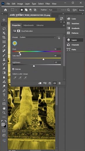 Color Change Magic! #shorts #photoshop #cats #edit #viral