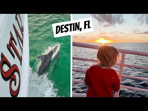 Southern Star Dolphin Cruise in Destin, Florida | Sunset Cruise