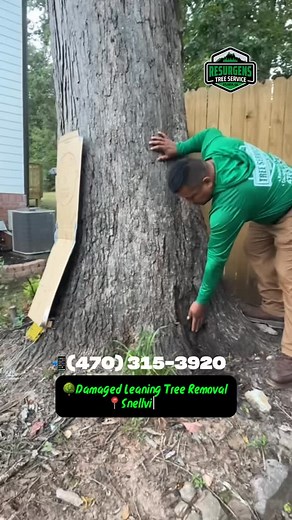 1.6K views · 28 reactions |  Damaged Leaning Tree Removal In Snellville, Ga Free Estimate (470) 315-3920 ✅ Fully insured and Licensed . #treeremoval #tree #treesofinstagram #treeservices #treepruning #stump #stumpgrinding #landscapedesign #treeworker #chainsaw #treeservicecompany #freestimates #woodworking #treewern #atlanta #flowerybranch #buford #dacula #gwinnett #freequotes #viral #call #treecutting #gwinnettcounty | Resurgens Tree Service | Facebook
