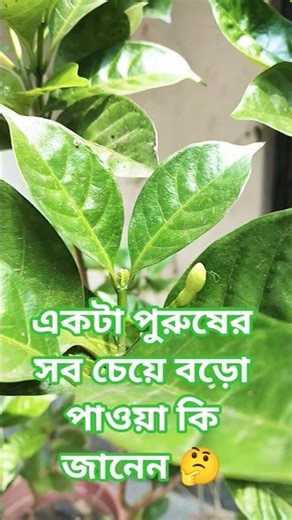 একটা পুরুষের সব চেয়ে বড় পাওয়া#banla life changing motivation #motivation #subscribe