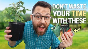 New to Gardening? Start With These Easy Vegetables