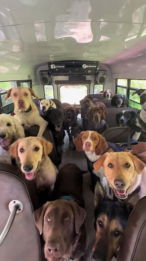 K9 Konvoy (@k9konvoy) - Dog Snack Pack for Monday Fun