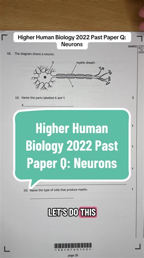 Higher Human Biology 2022 Past Paper Q: Neurons #higherhumanbiology #higherbiology