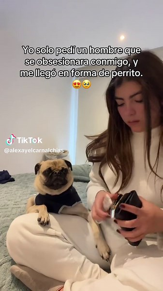 Lo más lindo de los Pugs en casa