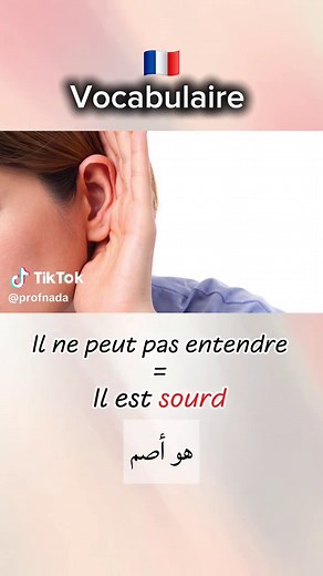 Vocabulaire français: Apprenez avec des termes essentiels