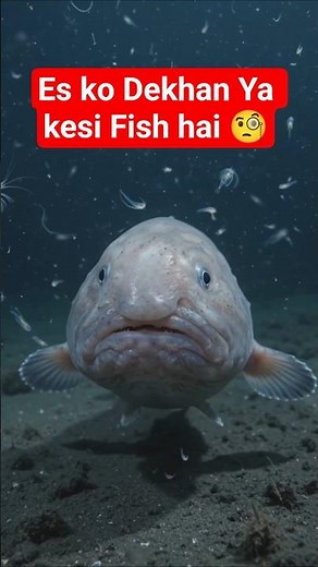 😱 Blobfish: The Weirdest Fish In The Deep Ocean! 🐟🌊 | Amazing Animal Facts