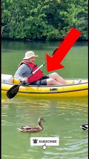 Funny Videos of Animals vs Humans Epic Fails