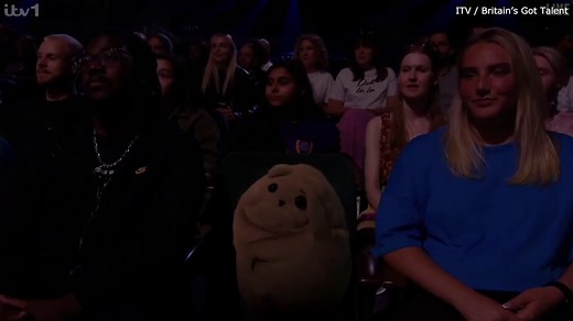 Britain's Got Talent fans outraged as former finalist unveiled as Noodle the Cat