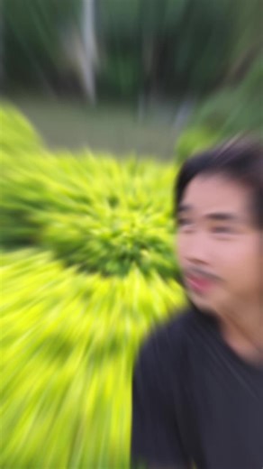 original sound - YAN NAING LAY💰( Official ) ပါဝင်သည့် YAN NAING LAY💰( Official ) (@yan.naing.lay2) ၏ ဗီဒီယိုများ