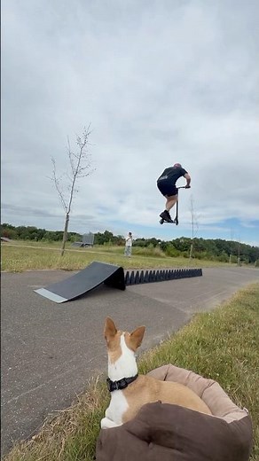 DAY 29 of jumping +1 cone each day until I… 🧟