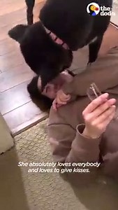 21M views · 282K reactions | This dog sprints down the hall to her best friend's apartment every day for a playdate — wait until they meet another neighbor on their floor ❤️ | The Dodo | Facebook