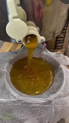 Conversation humoristique entre père et fille