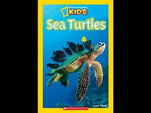 National Geographic Kids Readers: Sea Turtles