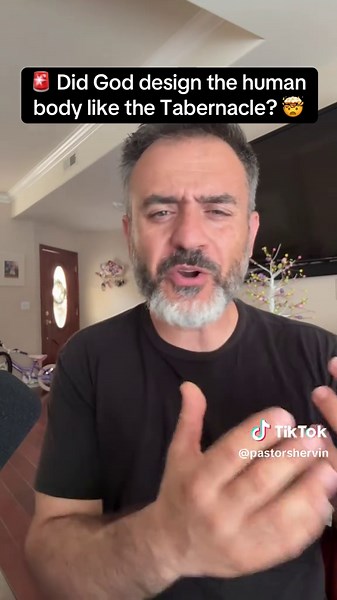 🚨 Did God design the human body like the Tabernacle? 🤯 #Jesus #God #Bible