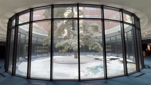 130 reactions · 11 shares | The Michigan Library and Historical Center has its very own snow globe!❄️ Carl the White Pine Tree looks extra whimsical on snowy days. Be sure to come visit! | Michigan History Center | Facebook