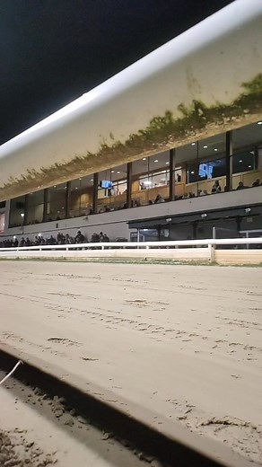 3.3K views · 33 reactions | We're OFF for Premier Greyhound Racing Classic finals night  Sunnyside Cairo took a flyer from the boxes to win our opener ✅ #SunderlandDogs  | Sunderland Dogs | Facebook