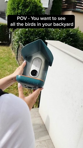 Innovative Bird Feeder Camera for Unique Wildlife Photography