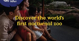 Night Safari Ticket | Mandai Wildlife Reserve, Singapore - Klook India