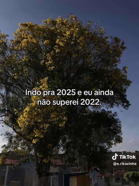 2024 Futebol - Meu Ano: Copa do Mundo de Futebol 2022 e Seleção Brasileira