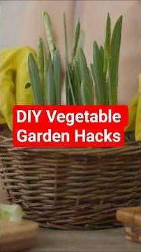 DIY Vegetable Garden Hacks for Organic Success
