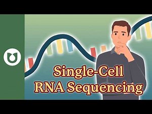 Single-Cell RNA Sequencing: The Breakthrough Technology Revealing How Individual Cells Behave