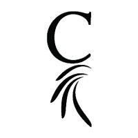 Chief Financial Credit Union | LinkedIn