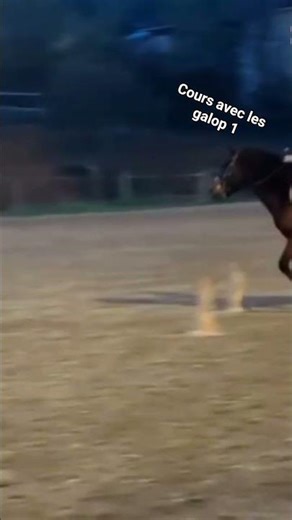 Cours avec les galop 1. Abonnez vous !