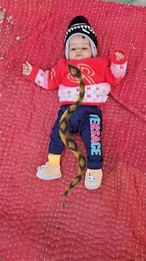 chandniya (Lori Lori) 😭 #shorts #shortsvideo #status #viralshort #viralvideo