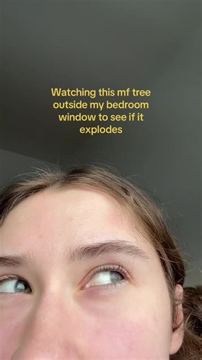 Exploding Trees: A Winter College Experience