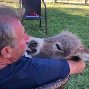 5.2M views · 100K reactions | Let's All Take A Moment To Chill Out | Try Not to Laugh | Facebook