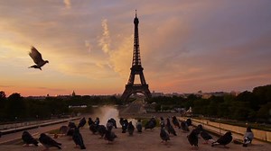 Exclusive access to savings on tours, cruises & vacation packages! | Gate 1 Travel