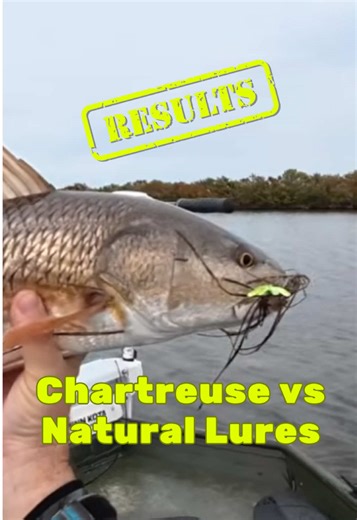 Fishing Lure Color Myths: The Truth Revealed