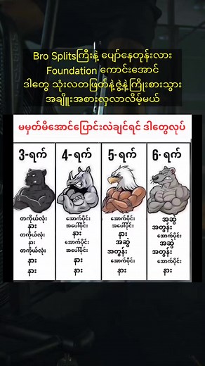 30K views · 501 reactions | Workout splits #splits #workout #gym | TT Fitness Vlog | Facebook