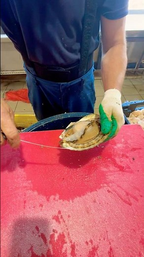 How to fillet a scallop? How to masterfully open a scallop shell?! The best knife 🔪 #sea #fish #s...
