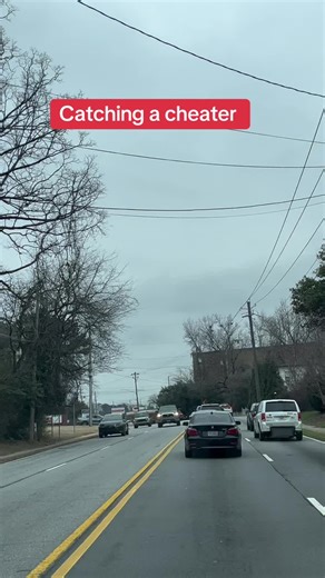 Catching a Cheater: The Shocking Truth about Allison