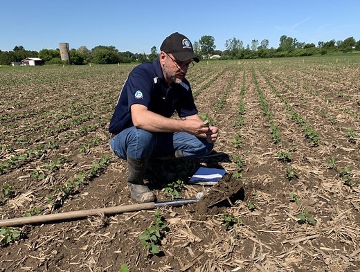 Soybean School: How clay soils impact planting depth