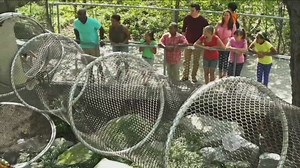 Philadelphia Zoo's Must-See Attractions