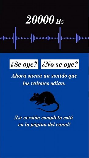 Sonido para ahuyentar ratas y ratones (20 s) – ultrasonido 20000 Hz, repelente seguro