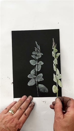 Monoprinting Gorgeous Mint 🌿 #monoprinting